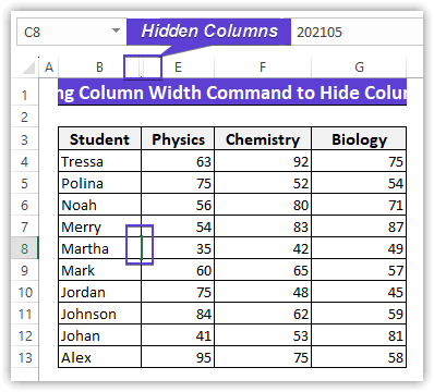 Hidden the columns by setting the column width as zero