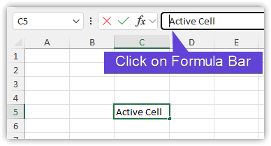 Go to the Formula Bar and click to Put an Active Cell into Edit Mode