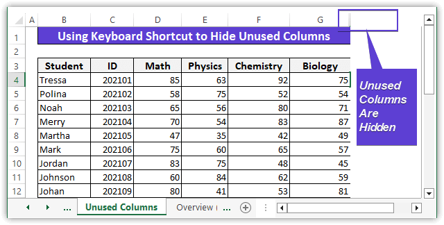 Unused Columns Are Hidden