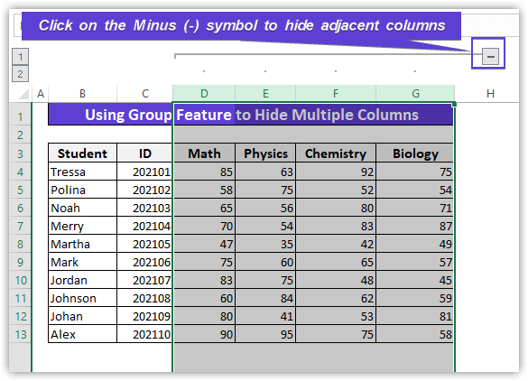 Click on the Minus (-) symbol to hide adjacent columns